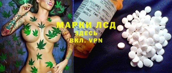 PSILOCYBIN Аркадак