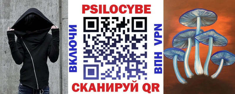 Галлюциногенные грибы MAGIC MUSHROOMS закладка Бор